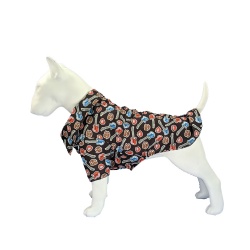 Dog beachwear