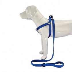 Royal blue nylon dog harness
