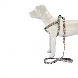 Design printed dog harness