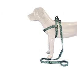 Tropical dog harness