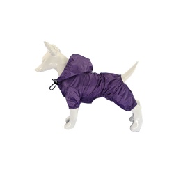 Purple dog raincoat