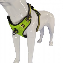 Adjustable neon no-pull dog harness