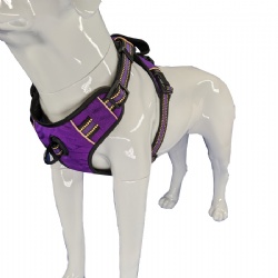 Big dog walking harness