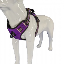 Big dog walking harness