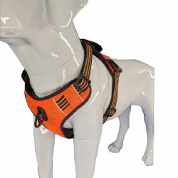 Padded orange dog harness for large dogs