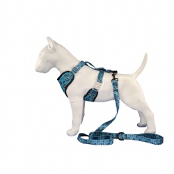 Soft breathable bones dog harness