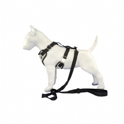 Bees comfortable dog harness