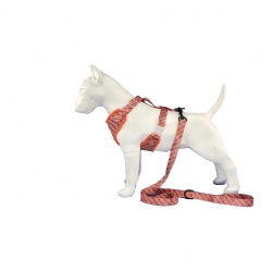 Double air mesh dog harness