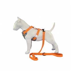 Dinosaurs dog harness