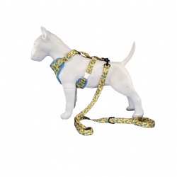 Pineapple pet harness