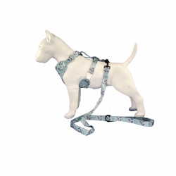 Personalized rainbow dog harness