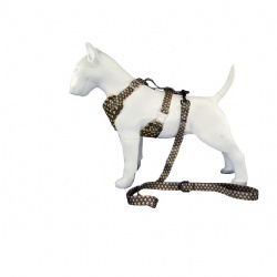Personalized pet harness