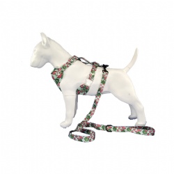 Cute watermelon soft dog harness