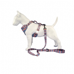 Adjustable designer pet harness