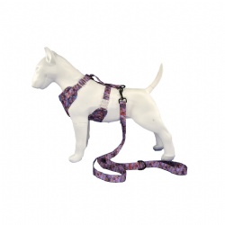 Custom dog harness and leash set